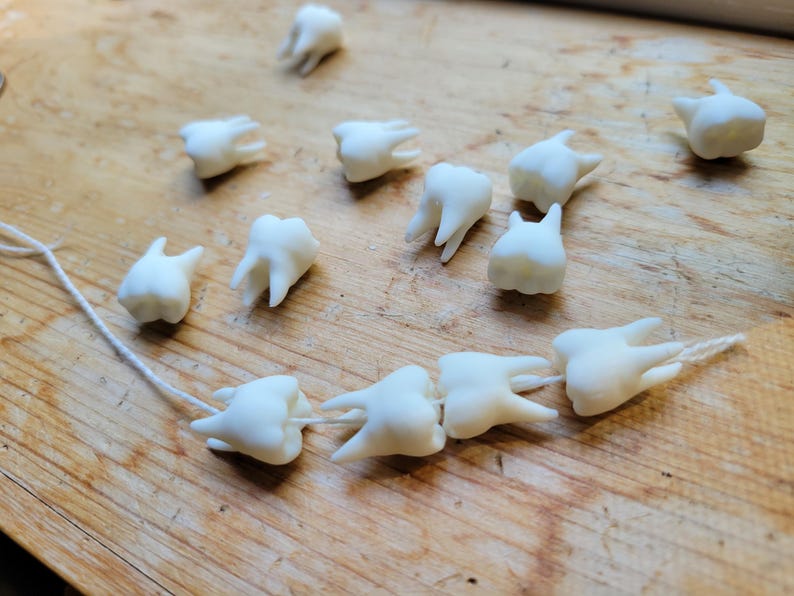 Pu&ograve; includere: Una collana di perline bianche a forma di denti infilate su un filo bianco. Le perline sono disposte in fila e sono tutte rivolte nella stessa direzione. Ci sono anche diverse perline sciolte sparse intorno alla collana.