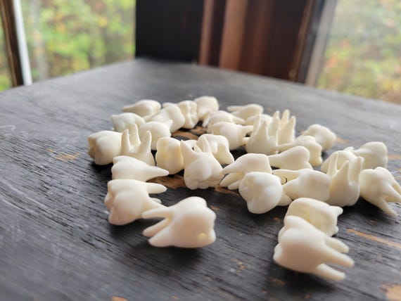 25 B-Grade Bulk Teeth! Resin Human Teeth Bead Mix! Human Molars in resin. Jewelry Supplies.