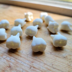 Pu&ograve; includere: Un insieme di denti di plastica bianca, che ricordano un set di denti da latte, sono sparsi su una superficie di legno.