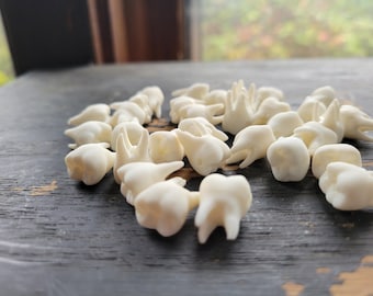 25 B-Grade Resin Teeth: Human Molar Bead Mix, Jewelry Supplies
