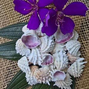 May include: A collection of white and pink seashells with a purple flower on top. The shells are arranged in a circle on a burlap background.