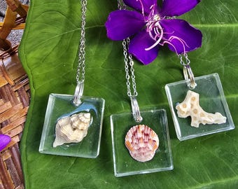 Collar con colgante de concha de resina hecho a mano: concha de Florida, cadena de acero inoxidable