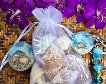 Bolsa de tesoros misteriosos para amantes del océano: conchas marinas variadas, llavero de resina e imán