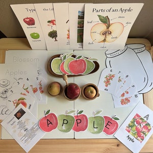 Apple Unit Study