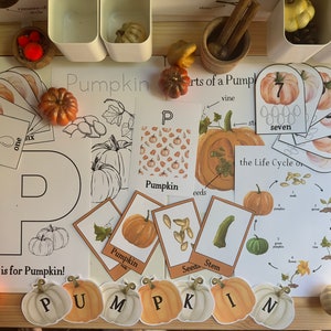 Pumpkin Unit Study