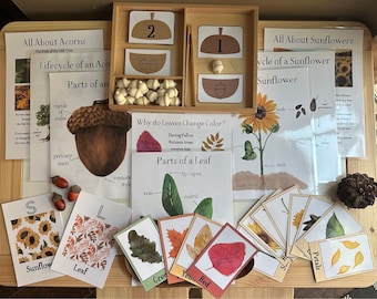 Autumn Unit Study - Leaves, Acorns, & Sunflowers
