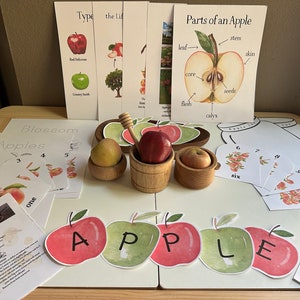 Apple Unit Study - Etsy
