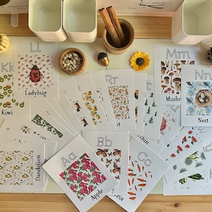 Nature Alphabet Cards