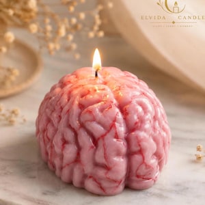 May include: A pink brain-shaped candle with red vein-like details and a lit wick at the top. The candle features the text ELVIDA CANDLE LIGHT SCENT MOMENT with a logo of the letter E and a candle icon printed in the upper right corner of the frame.