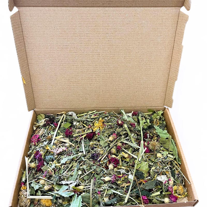 Animal Foraging Box - Etsy UK