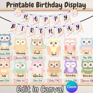 Editable Boho Owl Classroom Birthday Board, Pastel Classroom Birthday Display, Classroom Birthday Board Template, Owl Bulletin Board DIY Kit