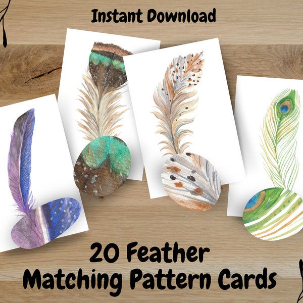 Feather Matching Cards, Toddler Pattern Matching, Montessori Learning Activity, Preschool Worksheet, Homeschool Bird Nature Curriculum