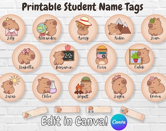 Editable Capybara Classroom Name Tags, Student Desk Label Template, Boho Capybara Cubby Tag, Canva DIY Labels for Classroom Desk