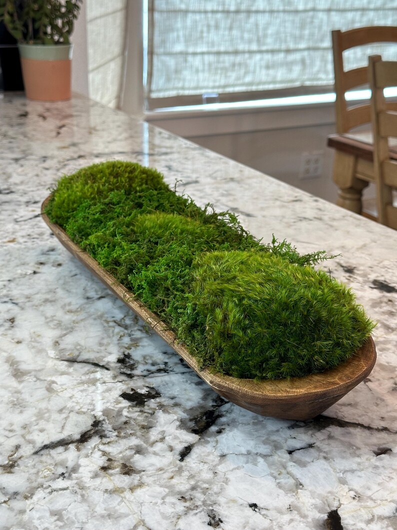 Artificial Moss Centerpiece For Home Or Office Decor (Black Artificial Moss Centerpiece For Home Or Office Decor (Black