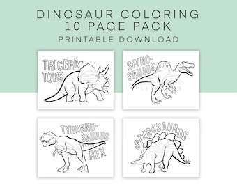 Dinosaur Printable Coloring Pages, Set of 10 Jurassic Activity Worksheets, Instant Printable Digital Download, Ten fun Dinosaur Worksheets