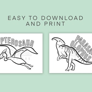 Pu&ograve; includere: Due disegni in bianco e nero di dinosauri. Il primo &egrave; un Pterosaurs con la parola "Pterosaur" sopra. Il secondo &egrave; un Parasaurolophus con la parola "Parasaurolophus" scritta verticalmente sopra.