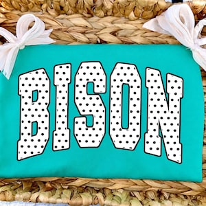 May include: A bright teal fabric item featuring the word BISON in large, white, block-style letters with a black polka dot pattern. The item is accented with two white fabric bows tied at the top corners, creating a decorative appearance.