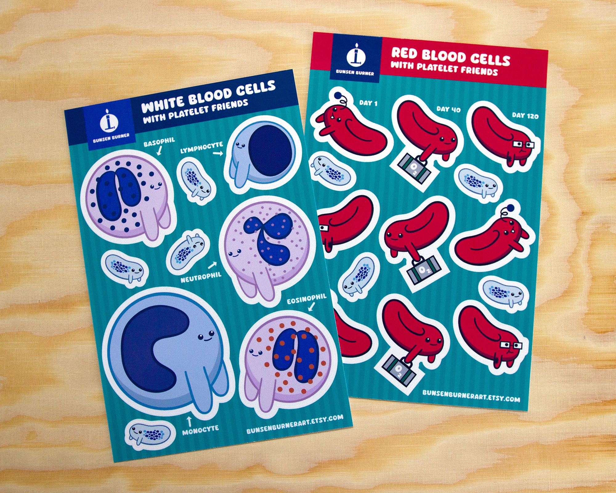 Cute red and white blood cell sticker sheets, anatomy and physiology blood stickers, hematology art gift, kawaii erythrocytes and leukocytes