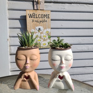 Face Head planter with drainage comes with live succulents for garden, office desk, tabletop