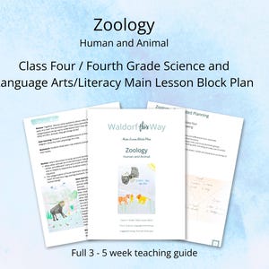 動物学 人間と動物 4年生 国語 作文 科学 メインレッスンブロックカリキュラム計画 - Waldorf Classroom and Homeschool
