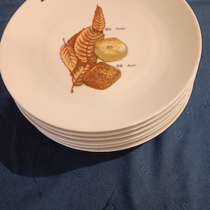 Plates
