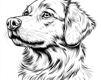 Op de afbeelding: Zwart-witte lijntekening van een hondenkop. De hond heeft hangende oren en een lange snuit. De hond kijkt naar de zijkant.
