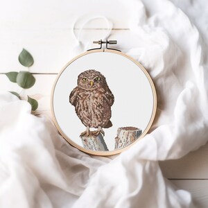 Op de afbeelding: Een bruine en witte uil met gele ogen zit op een houten tak. De uil kijkt recht in de camera. De uil bevindt zich in een witte borduurring.