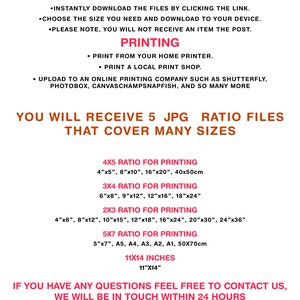 May include: A digital download guide for printing photos in various sizes. The guide includes five different aspect ratios for printing: 4x5, 3x4, 2x3, 5x7, and 11x14. The guide also includes the corresponding measurements in inches and centimeters.