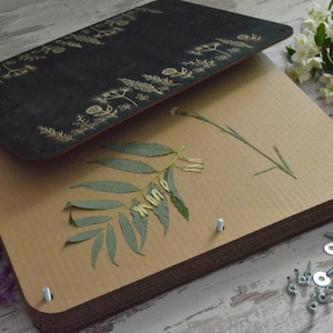 Kit de prensa botánica, prensa de flores, prensa de hierbas, flores secas para recuerdos de jardín, mini prensa botánica para secar plantas, mini prensa botánica