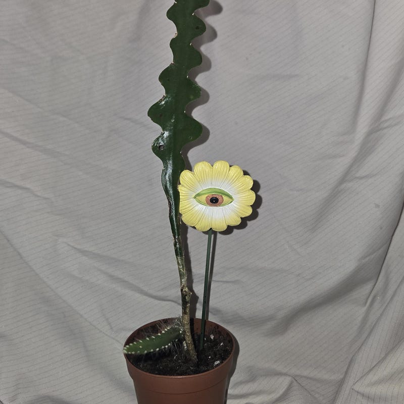 Ric Rac Cactus - Etsy