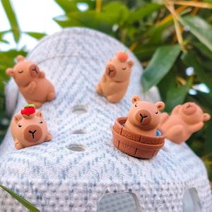 Könnte beinhalten: Ein weißer, texturierter Clog-Schuh, verziert mit vier kleinen braunen Capybara-Anhängern. Ein Anhänger zeigt ein Capybara in einem Holzzuber, ein anderer ein Capybara mit einer roten Frucht auf dem Kopf und zwei weitere zeigen ruhende Capybaras.