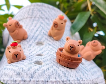 Capybara Shoe Charms | 3D Clog Accessories, 5pc Set