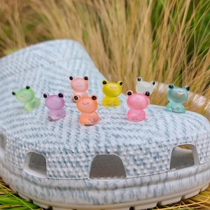 Leuchtende Frosch Schuhanhänger | 3D Glow In The Dark Schuhclips