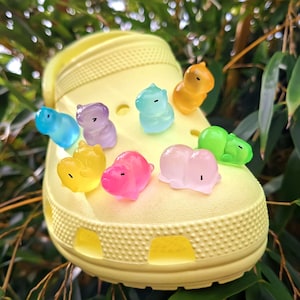 Könnte beinhalten: Ein hellgelber Clog-Schuh, verziert mit bunten, kleinen tierförmigen Charms. Die Charms sind in verschiedenen Farben erhältlich, darunter Blau, Lila, Gelb, Rosa, Grün und Orange. Der Schuh befindet sich vor einem Hintergrund aus grünem Laub.