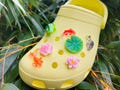 Lotus Pond Shoe Charms | Flower, Goldfish, Frog Shoe Clips - Set of 7 product logo