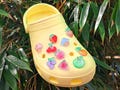 Fruit Shoe Charms | Tropical Summer Clog Clips product logo