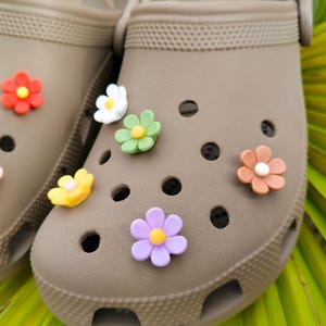A pair of taupe clogs decorated with 10 colorful daisy flower shoe charms in assorted colors, displayed on tropical green leaves.