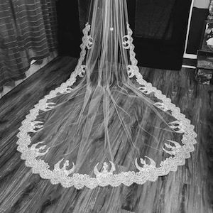 Star Wars Veil