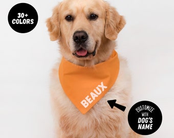 Bandana personalizzata per cani: nome personalizzato, completo in cotone