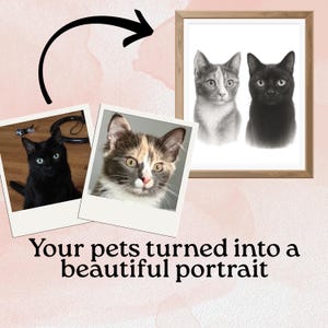 Custom hand drawn Portraits Using Pet Photo Personalized Digital Dog Portraits Cat Portraits Custom Dog Portraits Custom Pet Memorial Art