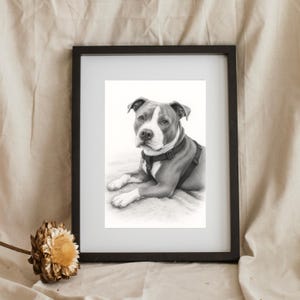 Custom hand drawn Portraits Using Pet Photo Personalized Digital Dog Portraits Cat Portraits Custom Dog Portraits Custom Pet Memorial Art