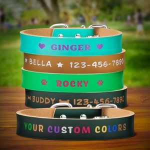 Personalized Engraved Dog Collar, Vegan Leather Adjustable Heavy Duty Dog and Cat Collar, Black