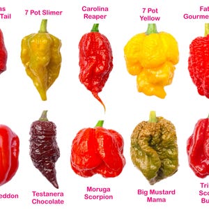 May include: A collection of ten different chilli peppers, each with a distinct shape and colour, including red, yellow, and brown varieties. The names of the peppers, such as "Carolina Reaper" and "7 Pot Yellow", are displayed below each pepper.