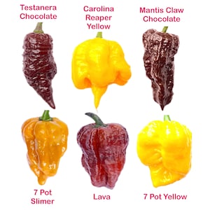 The Worlds HOTTEST Chilli Seeds Collection - 30 Seeds - 6 Varieties inc Carolina Reaper - 7 Pot Yellow - Carolina Reaper Yellow