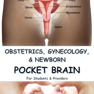 Obstetric, Gynecology, & Newborn Pocket Brain / Study guide