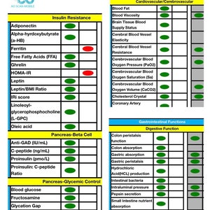 Bioescaneo de cuerpo completo Signos vitales, sistemas corporales