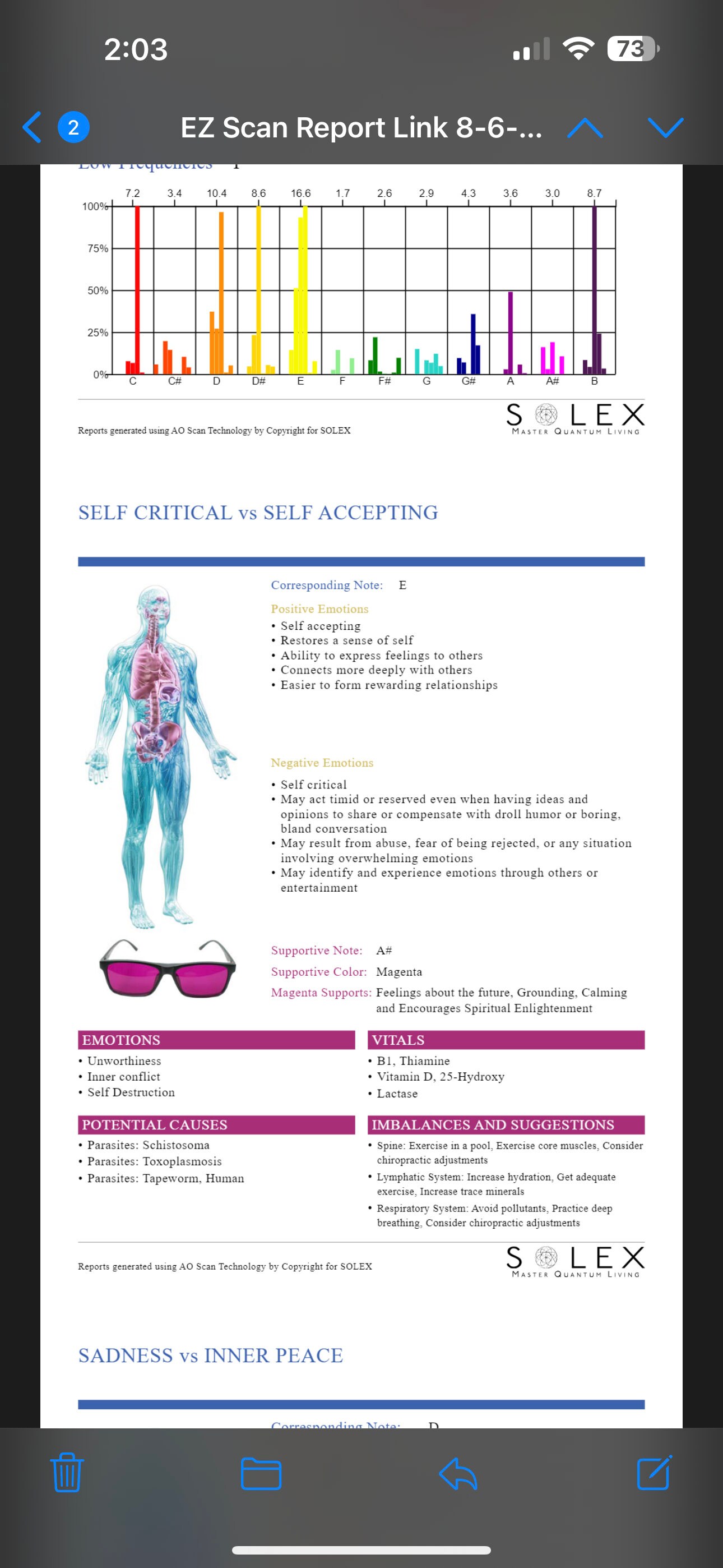 Full Body Bio Scan Vitals, Body Systems - Etsy