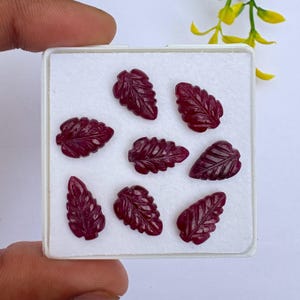 May include: Seven deep red, leaf-shaped carved gemstones arranged on a white square display tray. Each piece features intricate, symmetrical vein detailing carved into the surface, creating a textured appearance across the collection of stones.