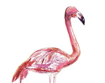 Flamingo Watercolor, Bird Photography, Bird, Nature Print, Tropical Wall Art, Wildlife Photo, Pink Bird, Beach Decor, Nursery Decor