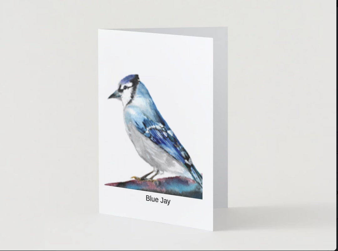 Bird Photography, Bird Note Cards, Bachelorette Note Cards, Teacher